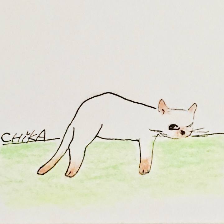 2b243d52 5e3b 48c2 8073 bc1e936c54f7 1568023356791