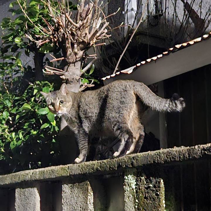 2b2445b8 9654 43a3 bd48 6f484800b414 1712373548552