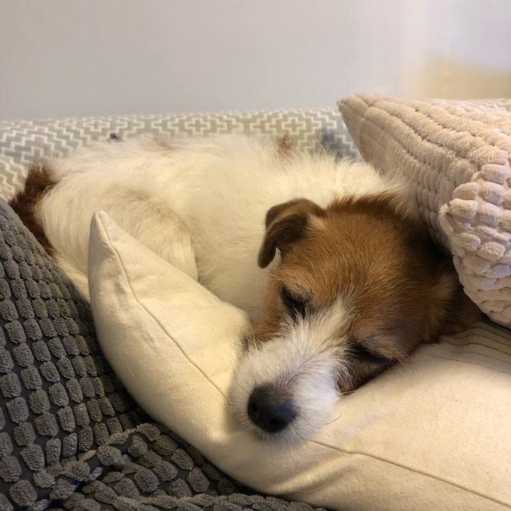 2b24568a beb1 4451 a32d 0e9bc27f4922 1615644469020