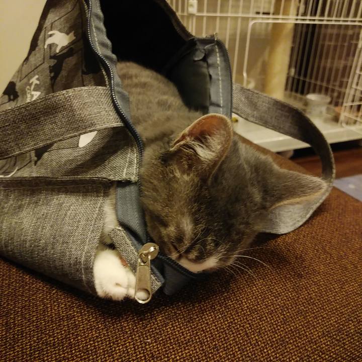 2b246360 1222 413b 95f5 8acab735f031 1570183380985