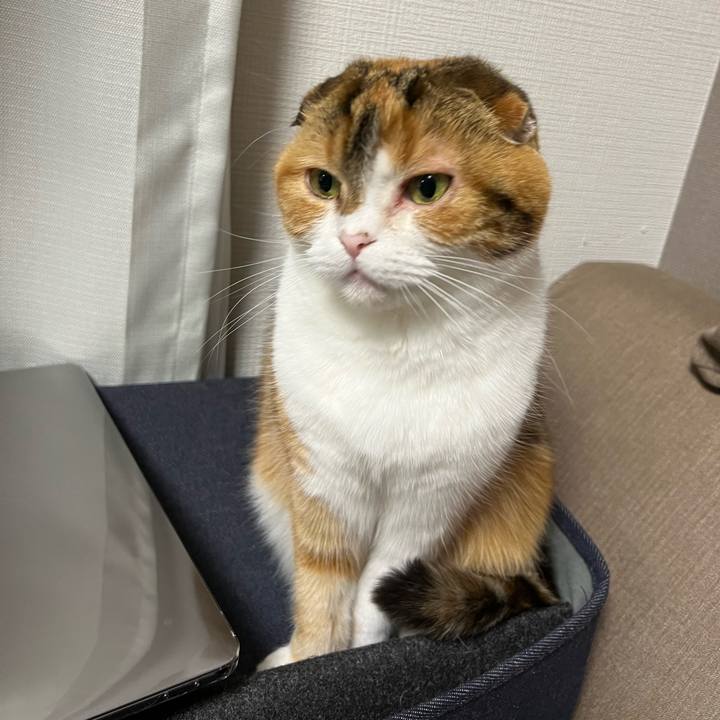 2b246389 a5c7 4be1 949f 354fe7353913 1644925479266