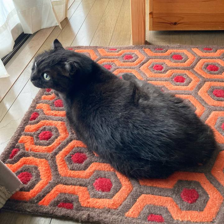 2b248811 d29c 41b8 a9ea 41dd7c099ee3 1591253605728