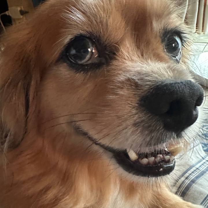 2b2505ee e57d 444a b87c 2315cdfe6fa2 1726089370877