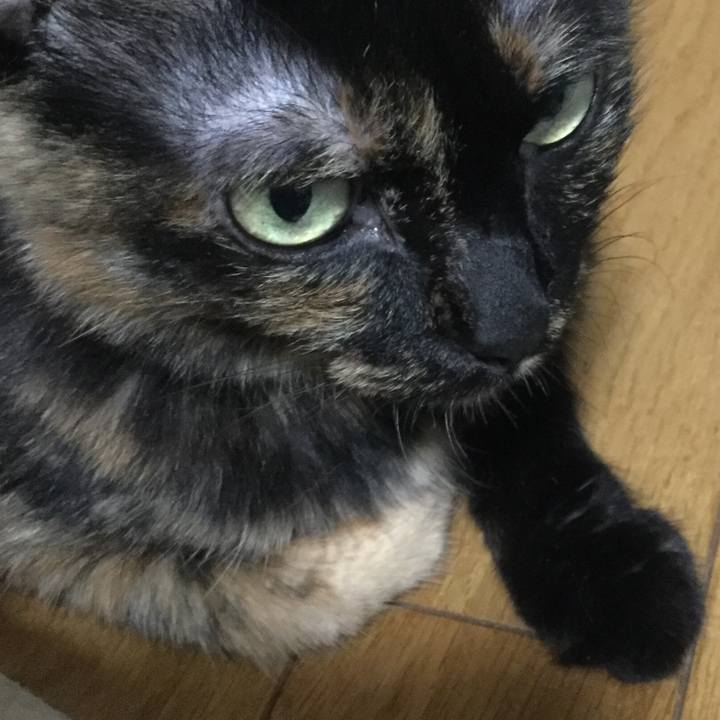 2b252723 2ecc 4c06 9a6f d519a54c8412 1597662667970