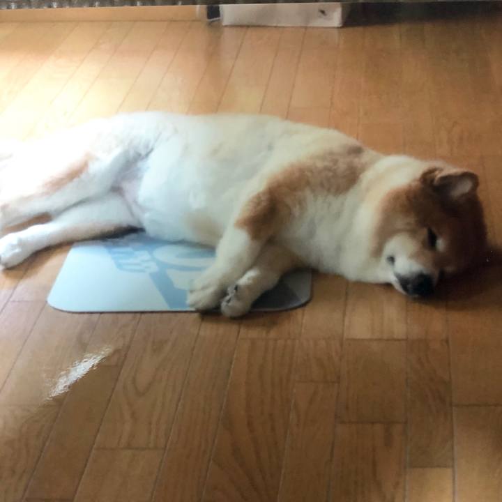 2b2549f9 2a8e 46c8 93a7 702bd6e09918 1516112251632