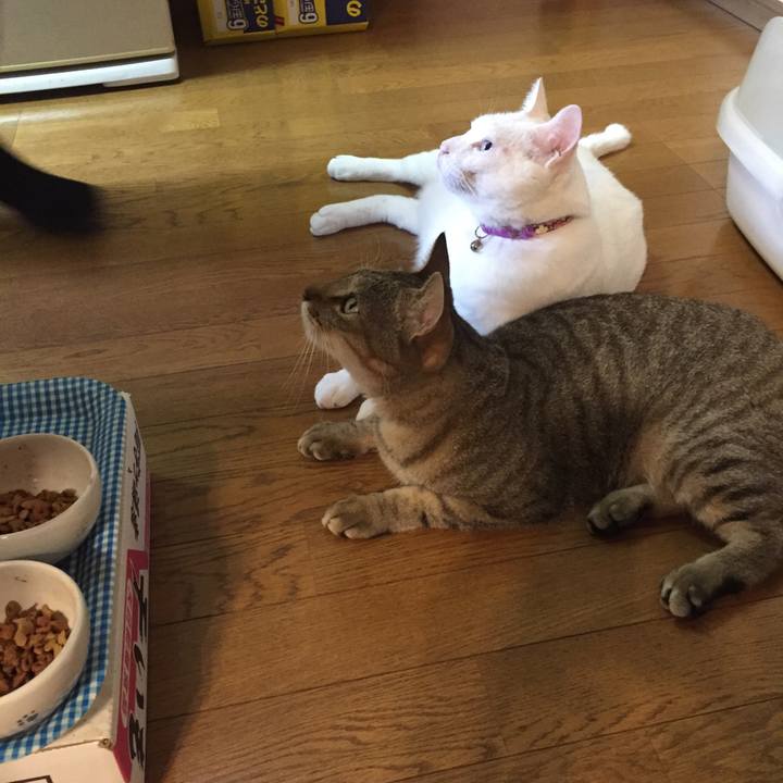 2b25525b 4b89 450f b9f1 4b8489d20fa7 1565735243536