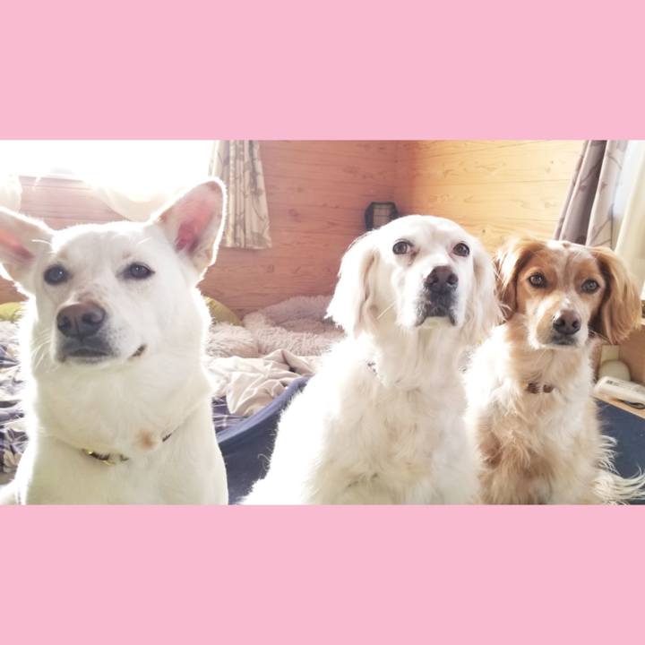 2b255717 afba 48d2 a879 3bb6a2465e03 1647468643768