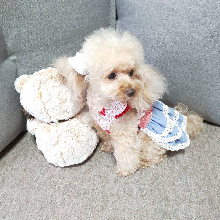 2b2581db c89f 4814 9077 3614aa2f2407 1566303280233