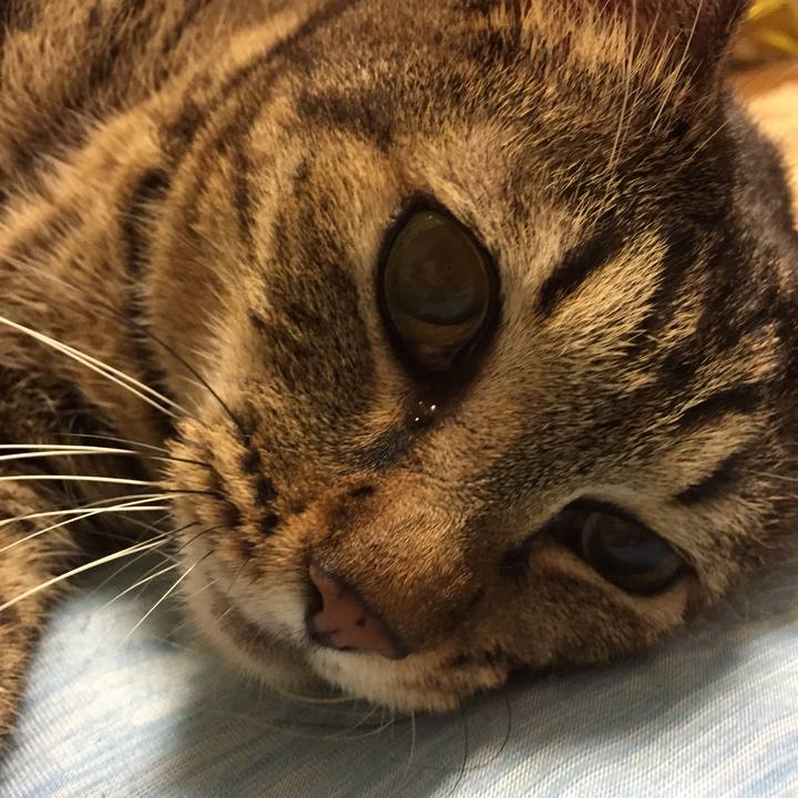 2b259fd6 a5b9 4720 9fe1 5f138365caf8 1508161120608