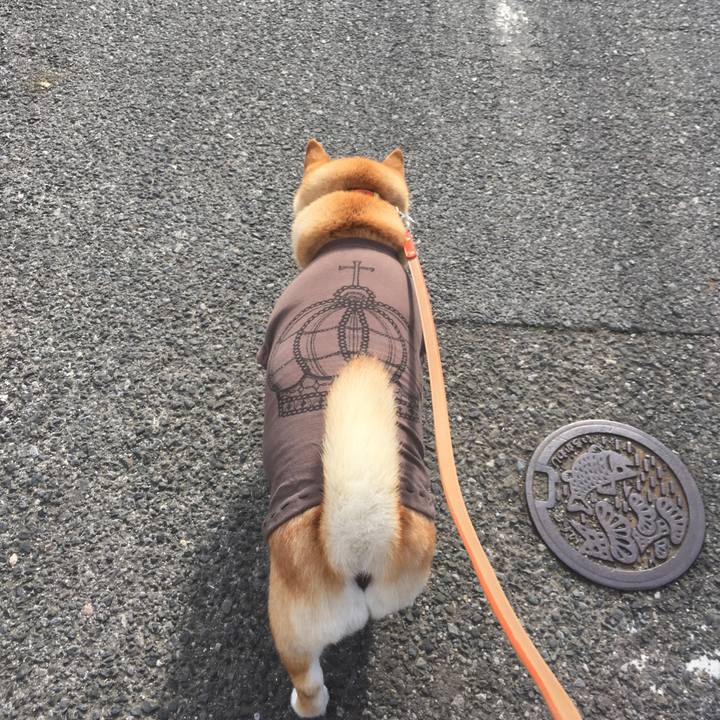 2b25ace0 7ffc 46fb ba2f ac23dc5ed639 1545883137267