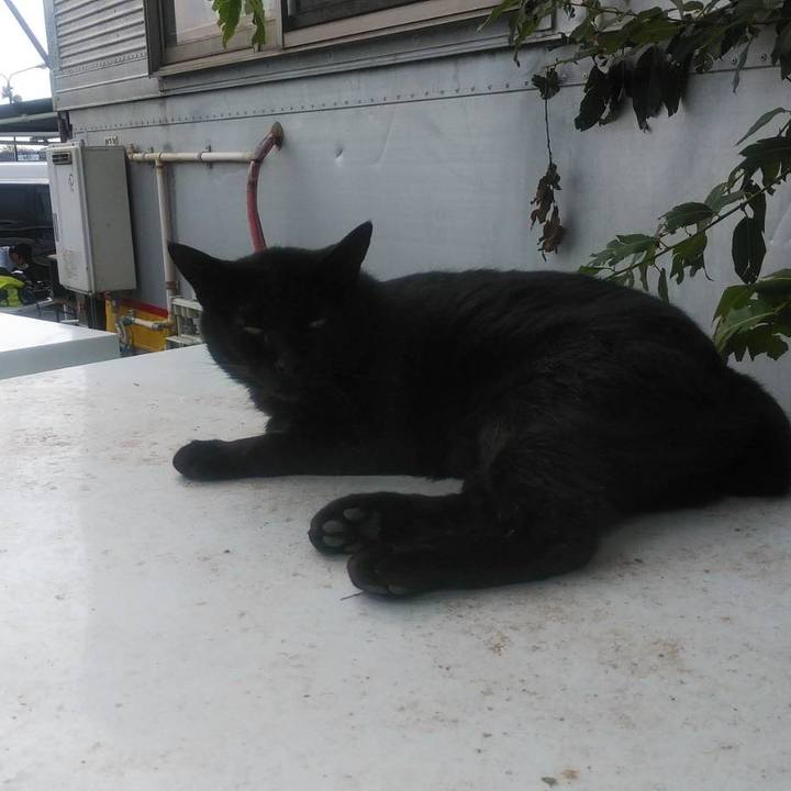 2b25bcbb fdaa 4590 bb4e 385116b34f18 1568939238047