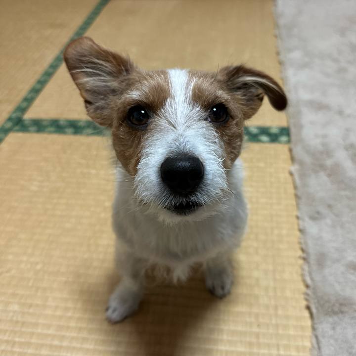 2b25bd44 6773 4379 af15 6112ec28fe3c 1767911026719