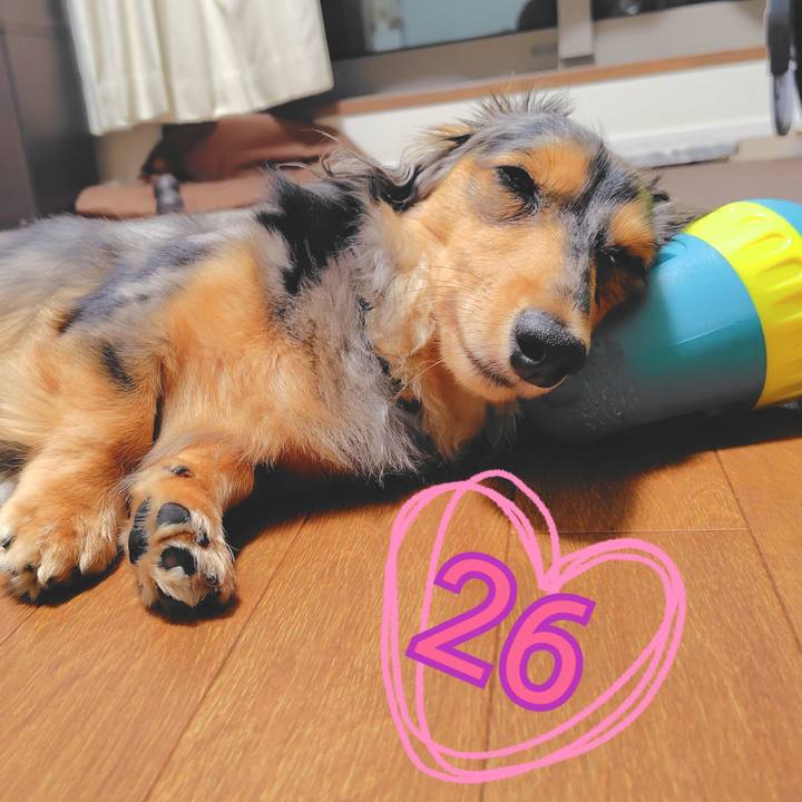 2b25de48 d6e2 4340 ace3 d2a27e3a7484 1758016111513