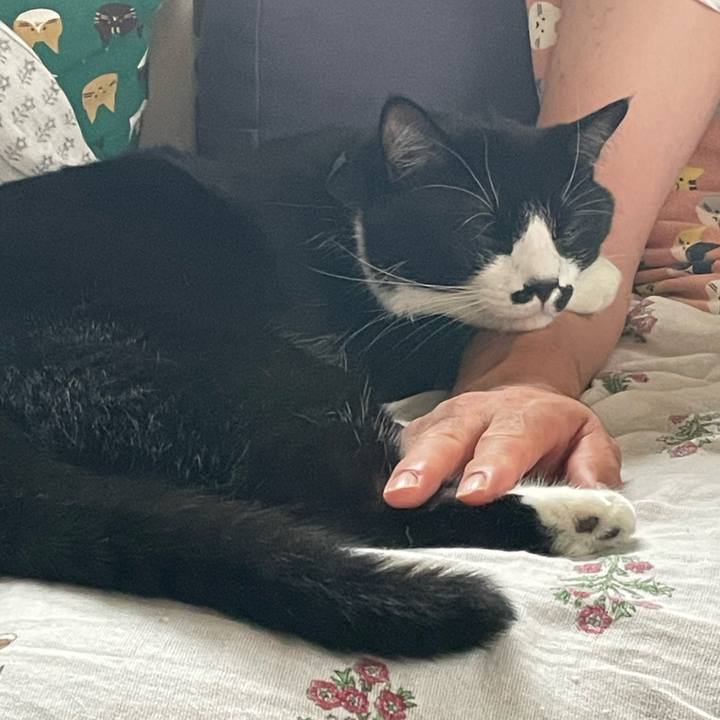 2b25e7ae c8e6 4797 b801 21ba2a146b9e 1726269222119