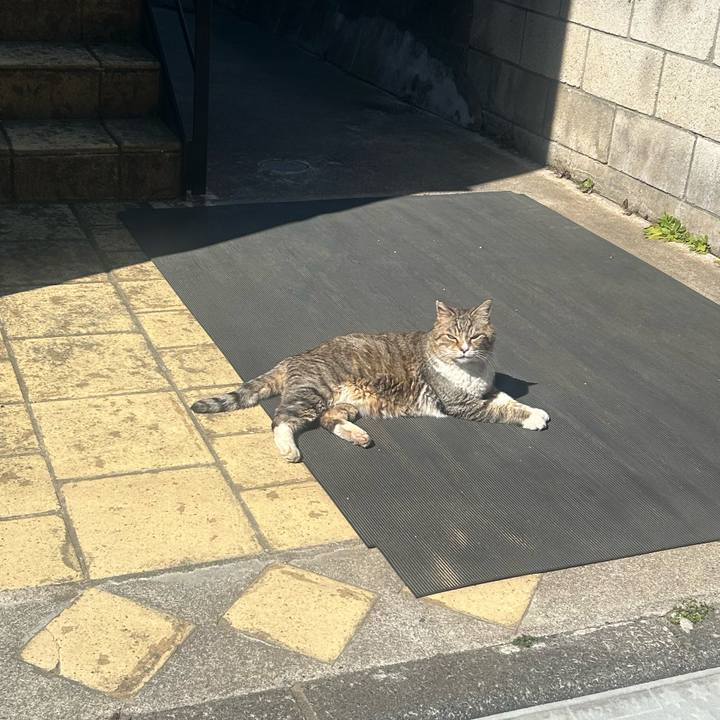 2b25fe45 3511 4667 9997 e3272f3b7f15 1773798736964