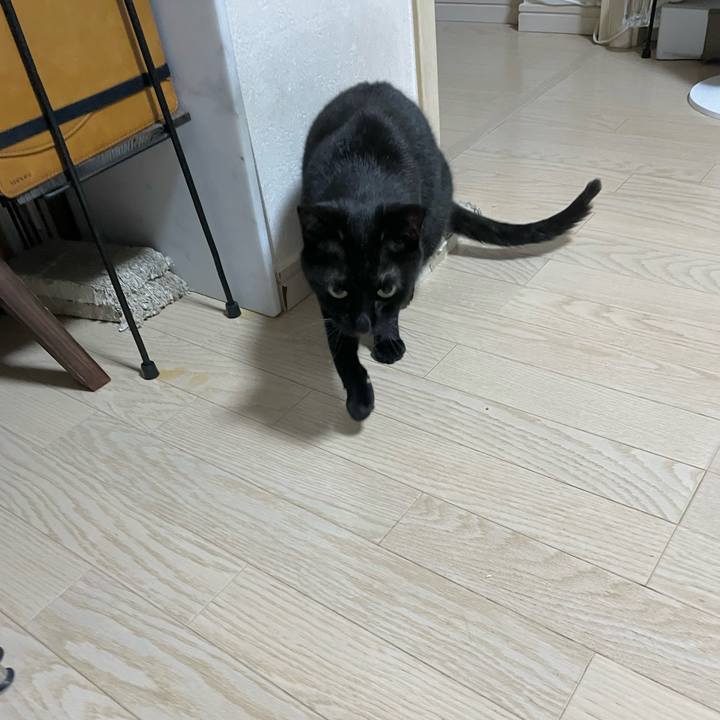 2b26413d d91b 441c 8830 2b75f258455d 1653231296690