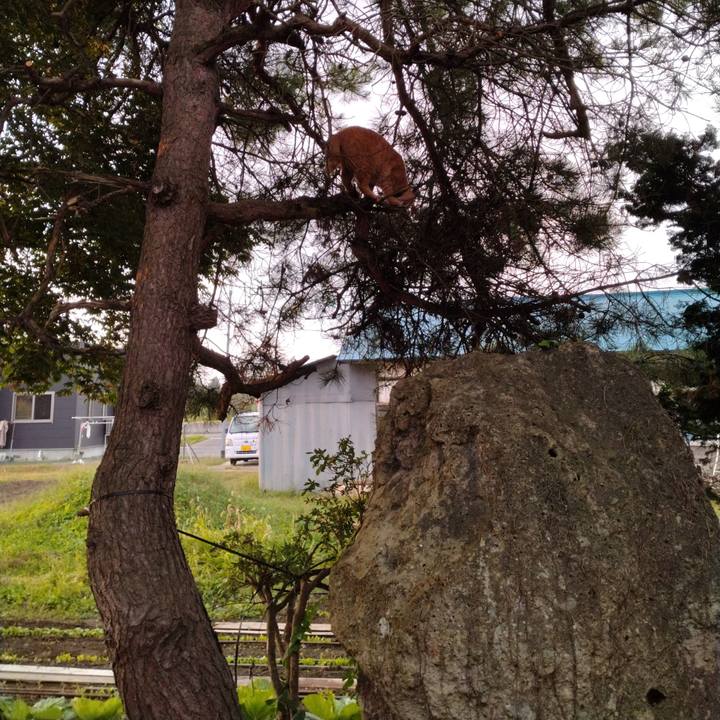 2b2681cc 7fdf 40ed a596 9ef2c89e84e6 1695075345447