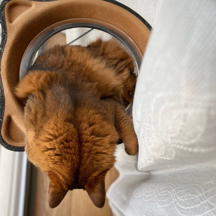 2b272387 2770 48bf 97bc 9f1a21a8ec45 1672187628417