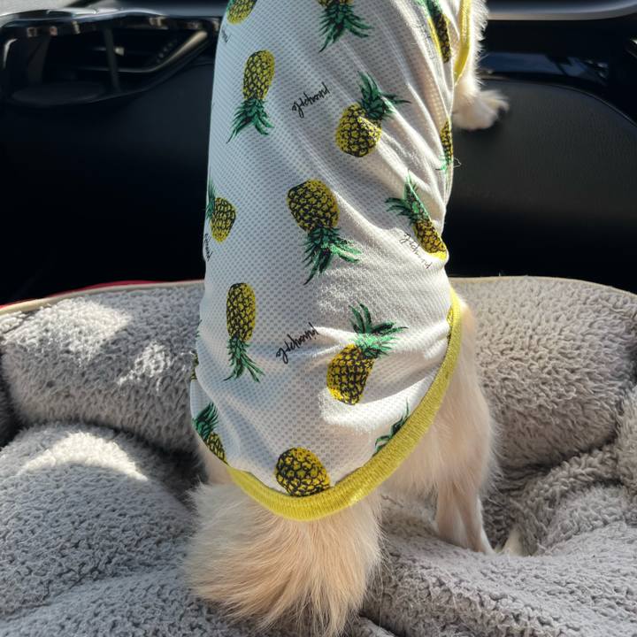 2b272aa9 5576 480e ac69 a7206c0b4492 1726384928866