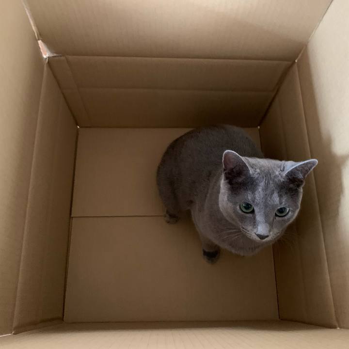 2b277285 736b 46bc a258 3eb9fda184aa 1592533490648