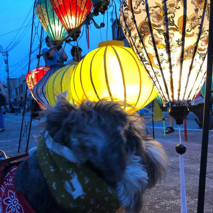 2b27b70e 27ce 47da 9c10 a6e32bb72e31 1565523935239