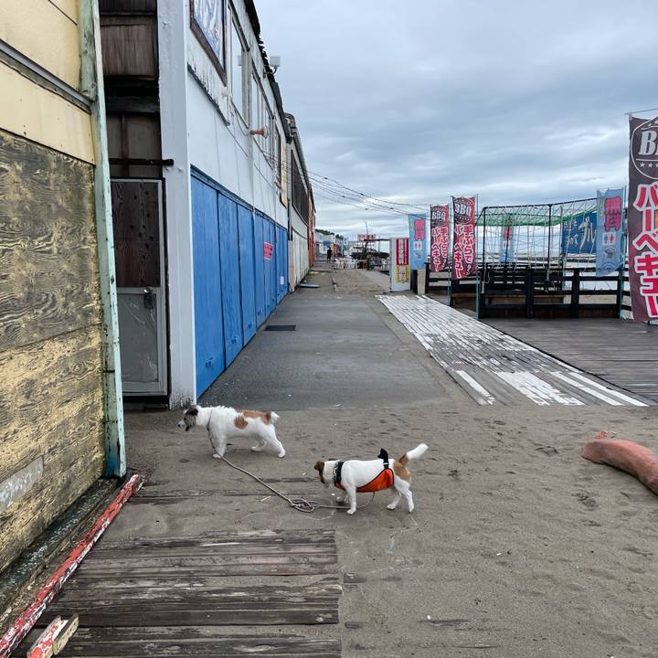 2b27c55e 6a25 4bc6 ac85 837523793c08 1661470375568