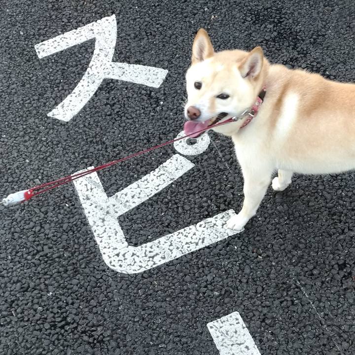 2b27d118 c173 48ed 8635 5a9b1b0fb66e 1597268704889