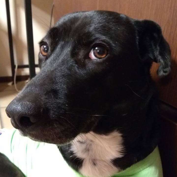 2b27df42 5f16 4dfc a8fa 599908e594f7 1611826088864