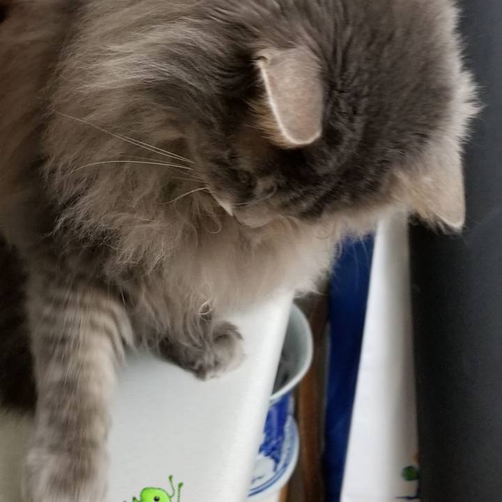 2b27ed47 8604 45a0 9f2c 0f0f93f87e80 1583617139481