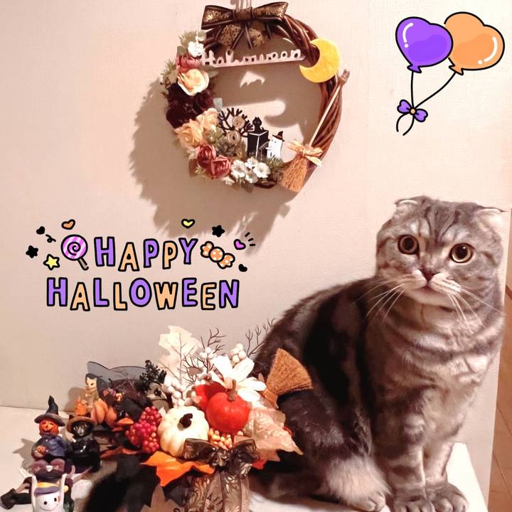 2b280343 05e1 445b 82de bd877fe018bf 1698763876417