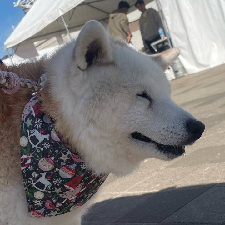 2b282418 550c 4be8 8881 1dd17786d177 1764791521476