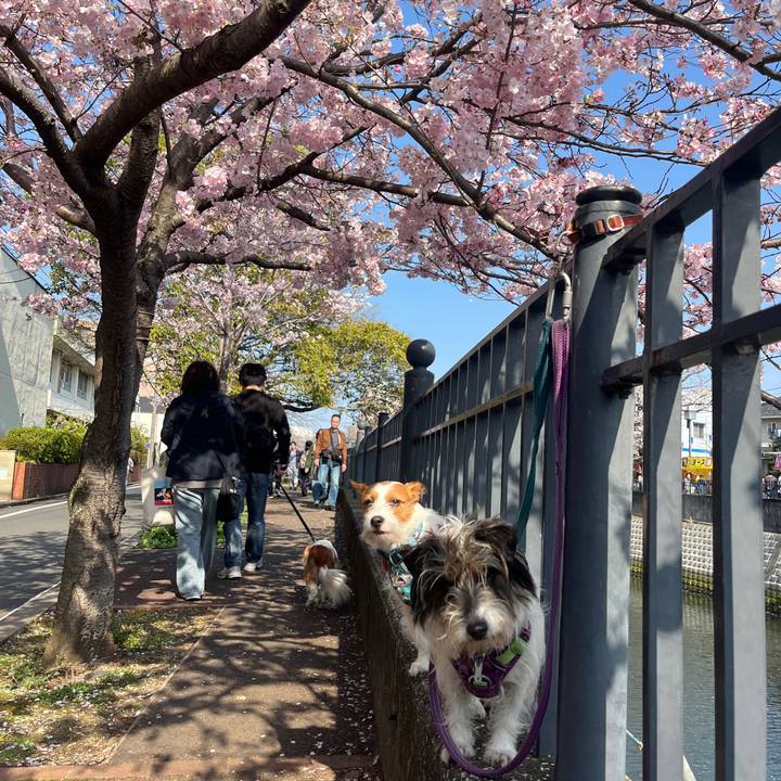 2b2825fc 21f8 4458 a4d3 f86435f0cf4c 1774785491761