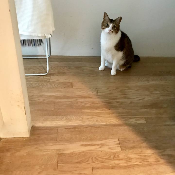 2b2879a9 9271 4405 8b57 92b18b42eca6 1557626448458