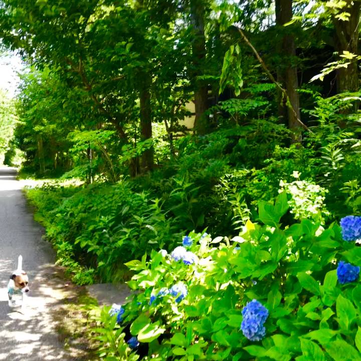 2b28ba99 65d1 4b6e 9d59 6abfed11eb55 1564115602493