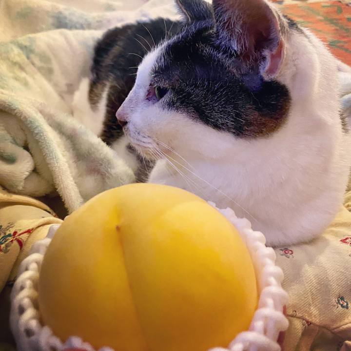 2b28cff8 1938 4698 88e5 9545287d6d2f 1601561352371