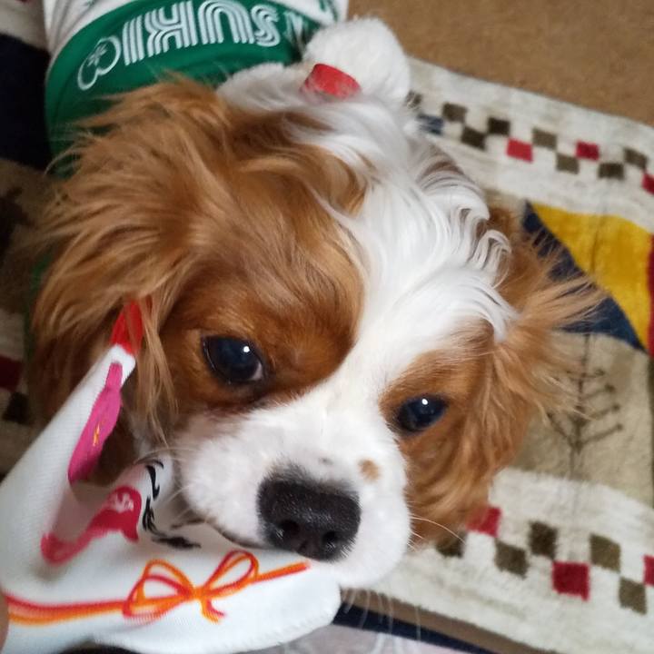 2b28ffc8 7d38 41f1 a820 8e0d7a8d8089 1578754738298