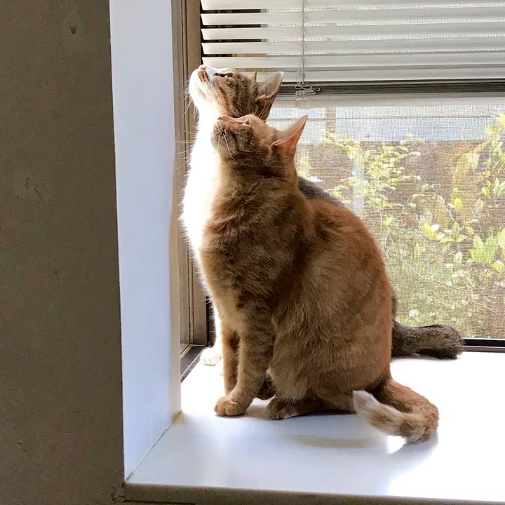 2b292636 5b2f 47c4 808d b7d14a3a2c8e 1539934543027