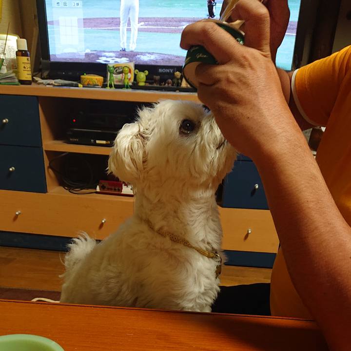 2b2929c7 7120 4ef3 be8d 5afbf9c85f49 1537358013821