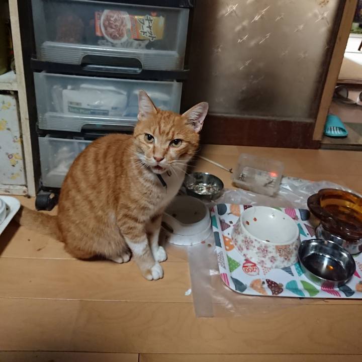 2b293741 3c58 48d1 b929 662a33d460d8 1597955218571