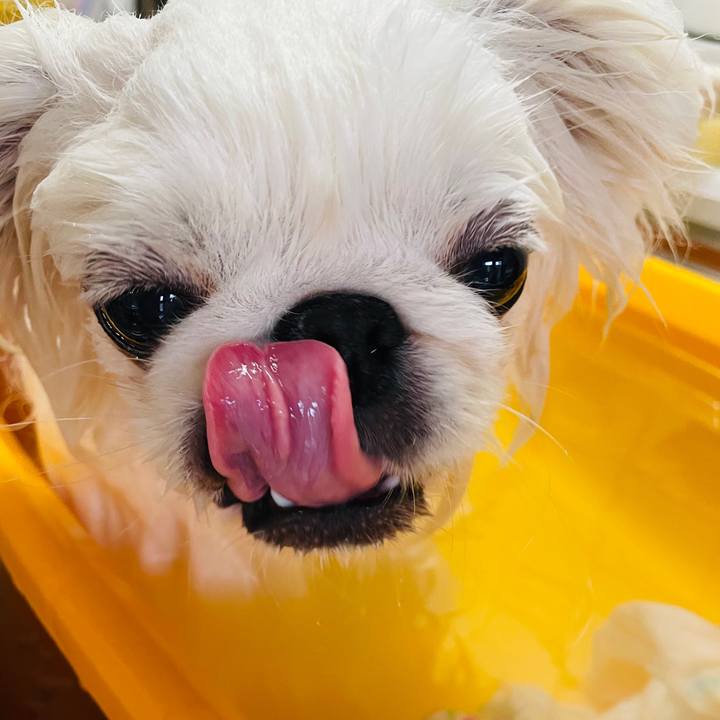 2b293c14 ff8c 43f1 9863 0ab4e697df86 1646526707533