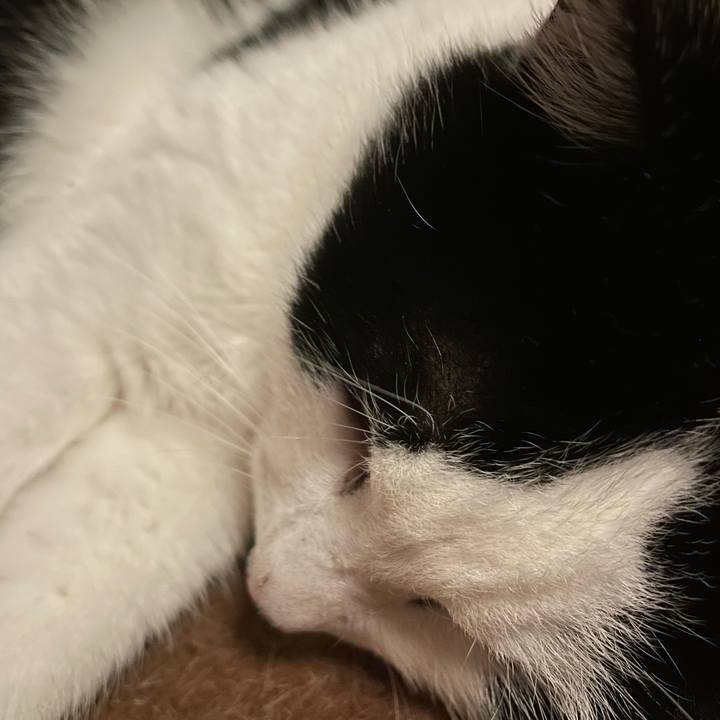 2b2947e1 f8e3 42e0 b169 b11a7f3c52f8 1640513031337