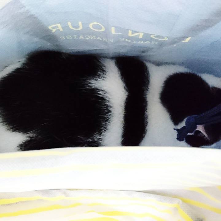 2b2961b8 2834 4fc5 9f7b a6eb551eb9a0 1545823208737