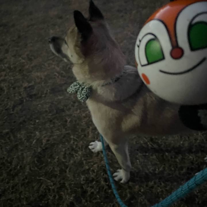 2b298f21 0f3a 4e12 aa58 2d10f3e9972b 1704975597376