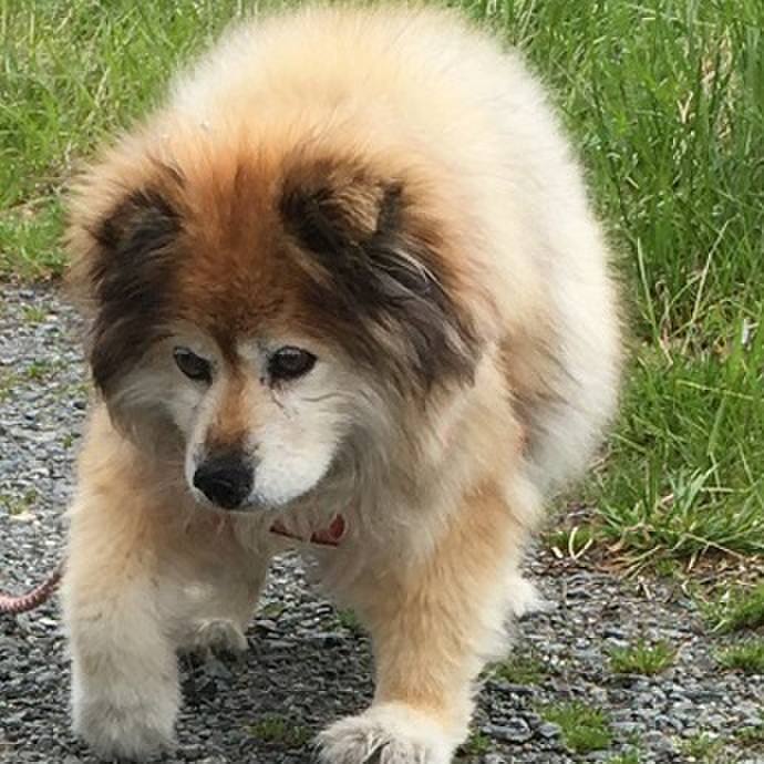 2b29b656 e471 4c4c b41f 8a92f9840f8f 1588784369671