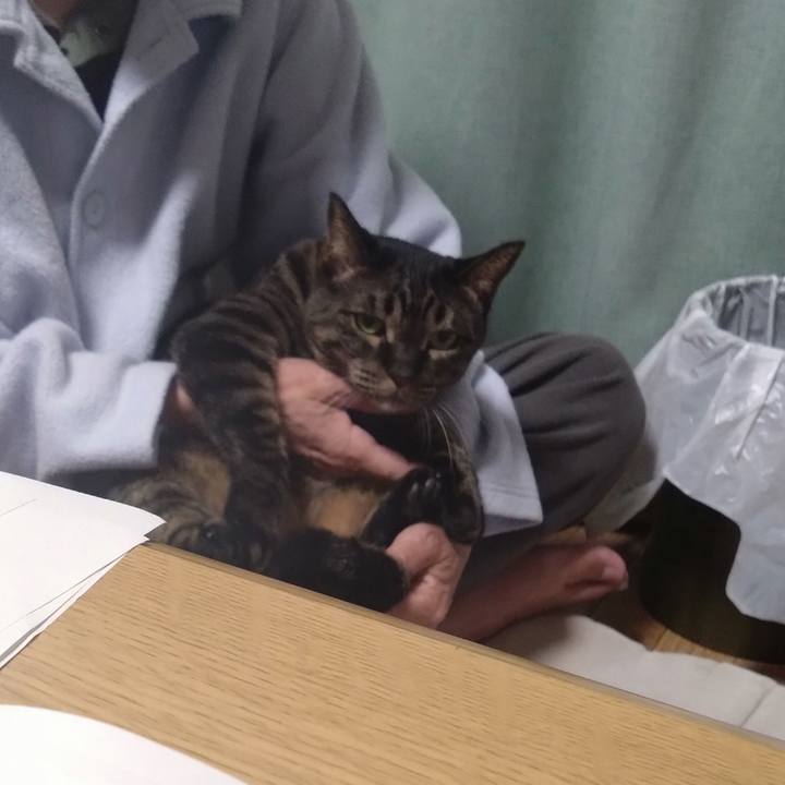 2b29bbb7 49b1 459c b0da 9421423ce364 1767872928466