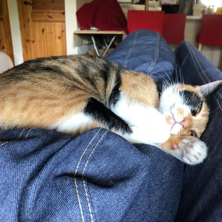 2b2a1539 a085 4085 9ede a15e78ccf584 1531650535748