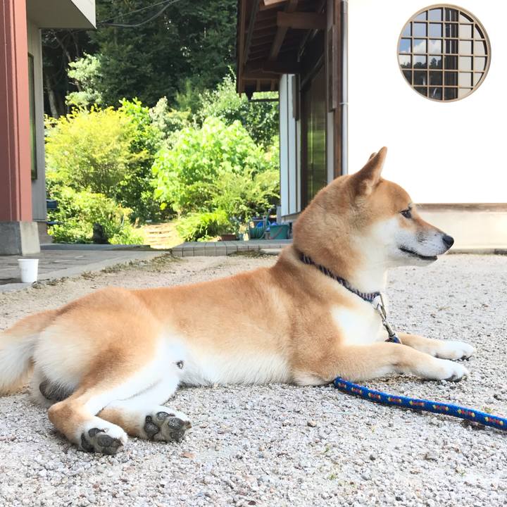 2b2a1588 4a24 4c68 aa25 efb2e1791fd9 1564813622855