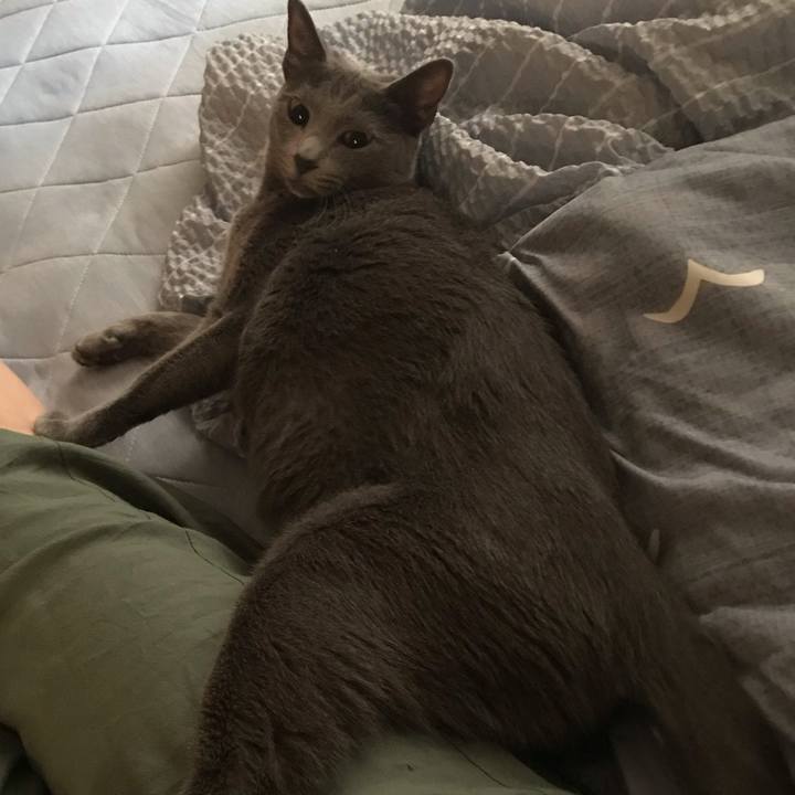 2b2a2d7f 097f 49da 9923 2098af89059f 1567462562079