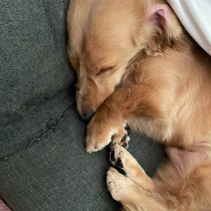 2b2a37f3 ba3d 4bc4 9e7c 871048a8afb3 1695134392630