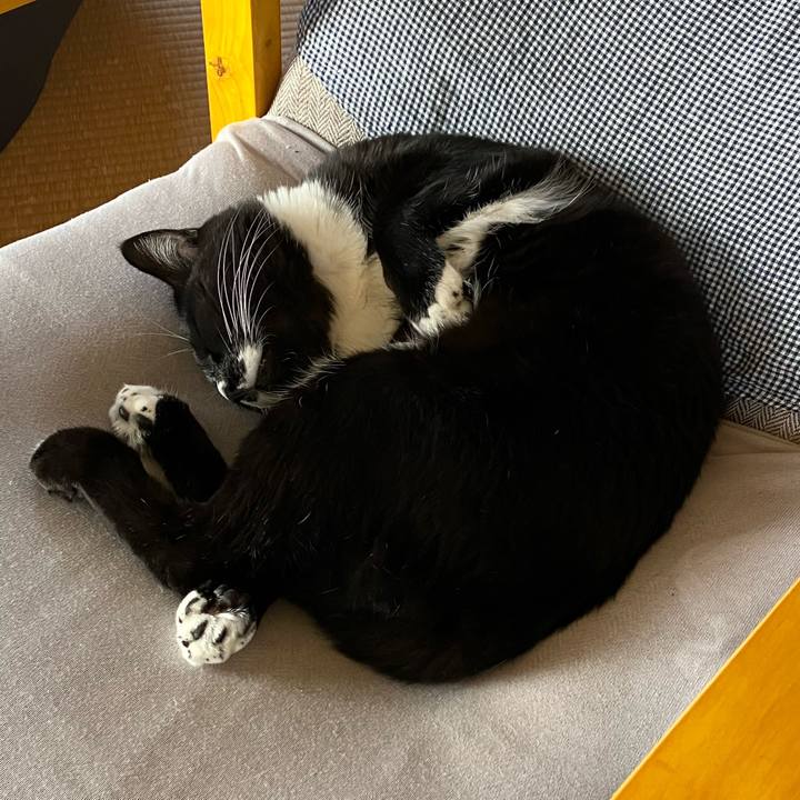 2b2a39ab 70de 4fb3 914e 535141159348 1732676642793